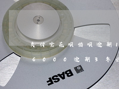 支付宝花呗借呗逾期1年会怎么样-花呗欠6000逾期3年会怎么样