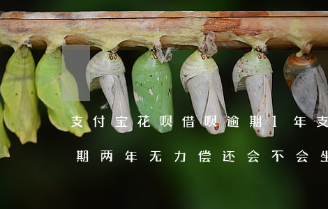 支付宝花呗借呗逾期1年(支付宝借呗花呗逾期两年无力偿还会不会坐牢)