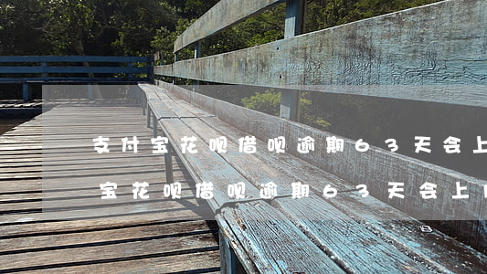 支付宝花呗借呗逾期63天会上门吗-支付宝花呗借呗逾期63天会上门吗是真的吗