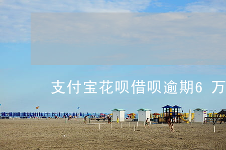 支付宝花呗借呗逾期6万