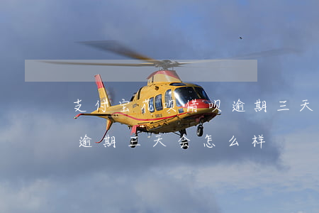 支付宝花呗借呗逾期三天-支付宝花呗借呗逾期三天会怎么样