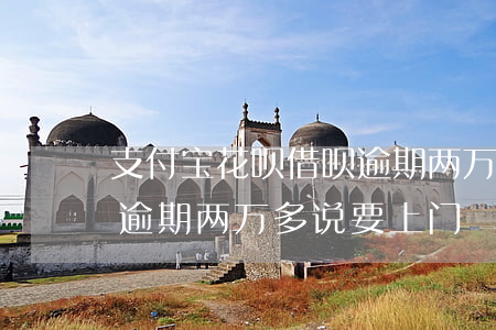 支付宝花呗借呗逾期两万-支付宝花呗借呗逾期两万多说要上门