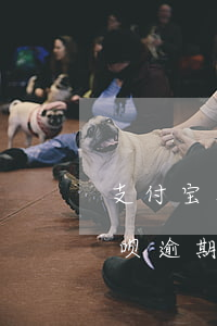 支付宝花呗借呗逾期两万三-支付宝花呗借呗逾期两万三怎么办