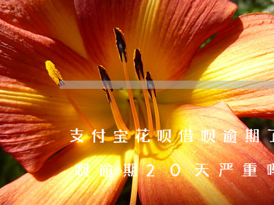 支付宝花呗借呗逾期了10天左右(支付宝借呗逾期20天严重吗)