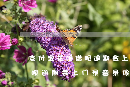 支付宝花呗借呗逾期会上门-支付宝花呗借呗逾期会上门录音录像吗