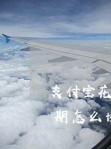 支付宝花呗借呗逾期协商延期(支付宝借呗逾期怎么协商延期)