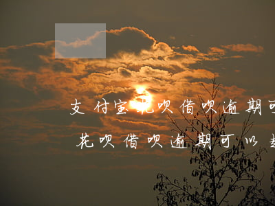 支付宝花呗借呗逾期可以超过几天-支付宝花呗借呗逾期可以超过几天还款
