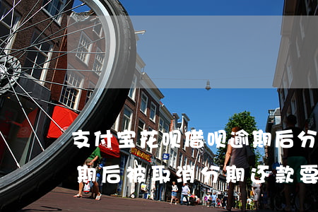 支付宝花呗借呗逾期后分开处理(花呗借呗逾期后被取消分期还款,要求全额还款)