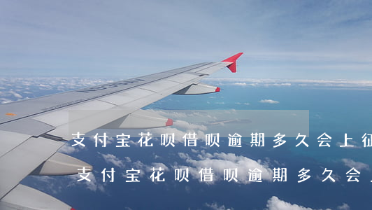 支付宝花呗借呗逾期多久会上征信黑名单-支付宝花呗借呗逾期多久会上征信黑名单啊