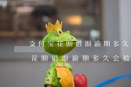 支付宝花呗借呗逾期多久会被起诉-支付宝花呗借呗逾期多久会被起诉,金额达到多少?