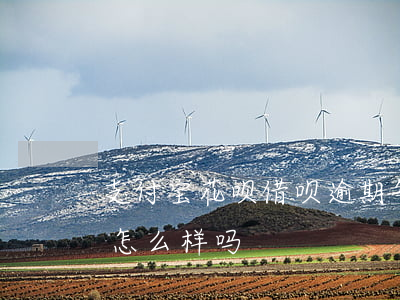 支付宝花呗借呗逾期年(支付宝借呗逾期了会怎么样吗)