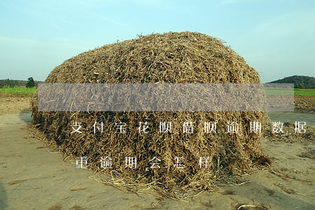 支付宝花呗借呗逾期数据(支付宝花呗借呗严重逾期会怎样)