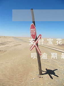 支付宝花呗借呗逾期最新消息(支付宝花呗借呗逾期最新消息)