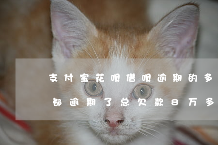 支付宝花呗借呗逾期的多吗(支付宝花呗借呗都逾期了总欠款8万多)