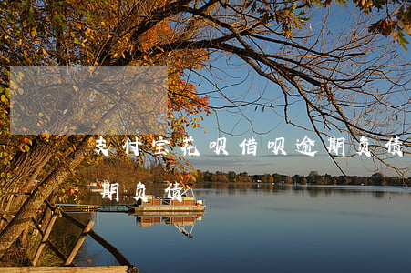 支付宝花呗借呗逾期负债(支付宝花呗借呗逾期负债)