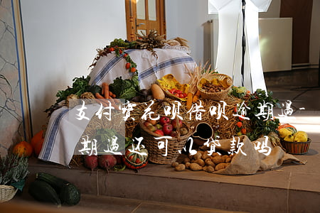 支付宝花呗借呗逾期过-支付宝花呗借呗逾期过还可以贷款吗