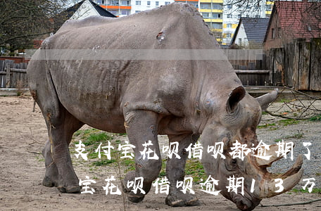 支付宝花呗借呗都逾期了总欠款8万多（支付宝花呗借呗逾期13万）