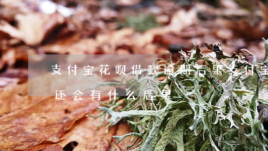 支付宝花呗借款逾期后果(支付宝借呗逾期不还会有什么后果?)
