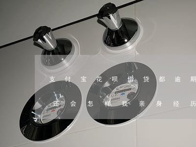 支付宝花呗借贷都逾期(蚂蚁花呗借呗逾期不还会怎样?我亲身经历:实在太扎心)
