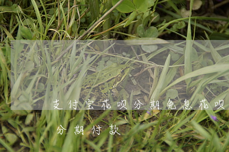 支付宝花呗分期免息(花呗分期额度不够怎么分期付款)