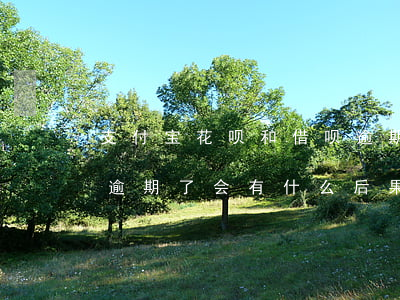 支付宝花呗和借呗逾期-支付宝花呗和借呗逾期了会有什么后果