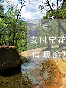 支付宝花呗和借呗逾期未还-支付宝花呗和借呗逾期未还会怎么样