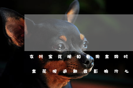 支付宝花呗和备用金同时逾期-支付宝备用金花呗逾期会影响什么
