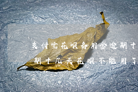 支付宝花呗备用金逾期十天(支付宝备用金逾期十几天花呗不能用了)