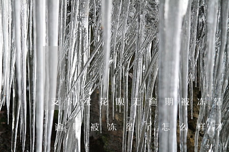支付宝花呗无逾期被冻结了-支付宝花呗无逾期被冻结了,怎么样才可以解封