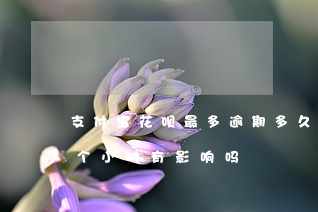 支付宝花呗最多逾期多久(支付宝花呗逾期半个小时有影响吗)