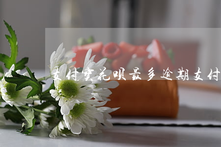 支付宝花呗最多逾期(支付宝花呗最多逾期)