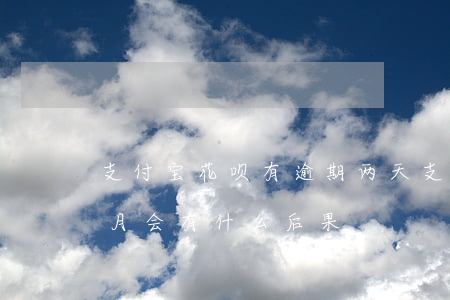 支付宝花呗有逾期两天(支付宝花呗逾期两个月会有什么后果?)