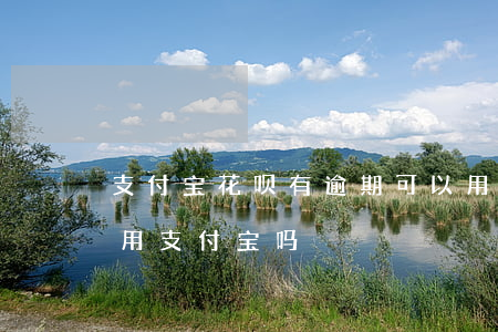 支付宝花呗有逾期可以用吗(花呗逾期后还能用支付宝吗)
