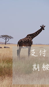 支付宝花呗未逾期被冻结-支付宝花呗未逾期被冻结怎么办