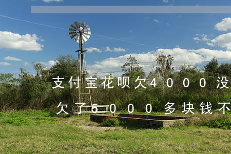 支付宝花呗欠4000没还咋办(支付宝花呗欠了5000多块钱,不还会不会怎么样?)