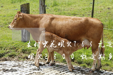 支付宝花呗欠765元逾期两个月(支付宝花呗欠2500能逾期多长时间)