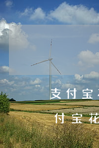 支付宝花呗欠了两万多无力偿还怎么办-支付宝花呗欠了两万多无力偿还怎么办啊