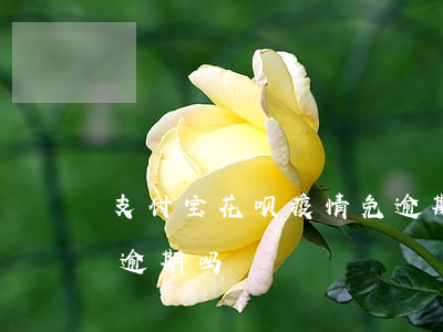 支付宝花呗疫情免逾期-支付宝花呗疫情免逾期吗