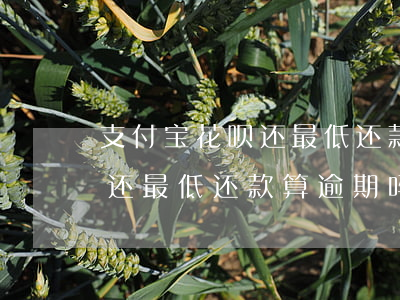 支付宝花呗还最低还款算逾期吗(支付宝花呗还最低还款算逾期吗)