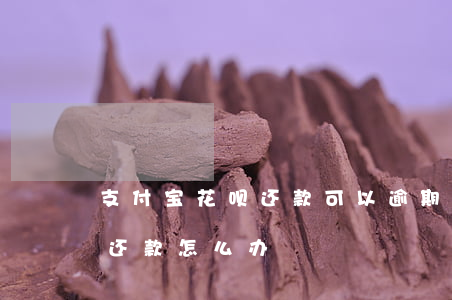 支付宝花呗还款可以逾期吗(支付宝花呗逾期还款怎么办)