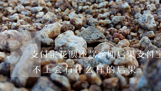 支付宝花呗还款逾期后果(支付宝花呗逾期还不上会有什么样的后果)