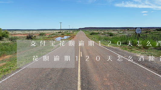 支付宝花呗逾期120天怎么消除-支付宝花呗逾期120天怎么消除记录
