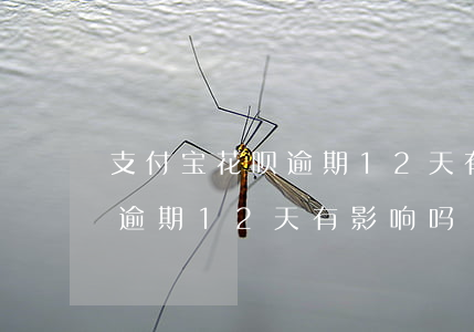 支付宝花呗逾期12天有影响吗 支付宝花呗逾期12天有影响吗