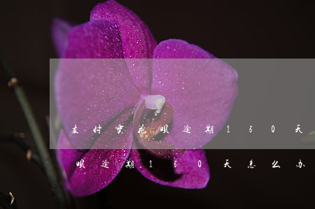 支付宝花呗逾期150天怎么办-支付宝花呗逾期150天怎么办理