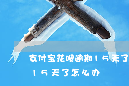 支付宝花呗逾期15天了-支付宝花呗逾期15天了怎么办
