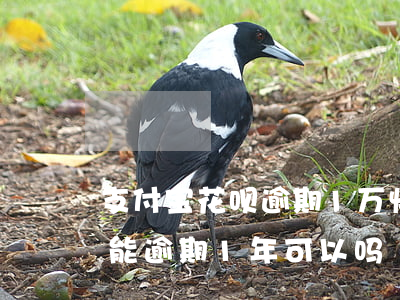 支付宝花呗逾期1万快两年了-支付宝花呗能逾期1年可以吗?
