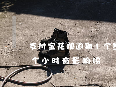 支付宝花呗逾期1个星期(支付宝花呗逾期半个小时有影响吗)