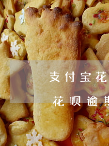 支付宝花呗逾期1个月就说要起诉-支付宝花呗逾期1个月就说要起诉是真的吗