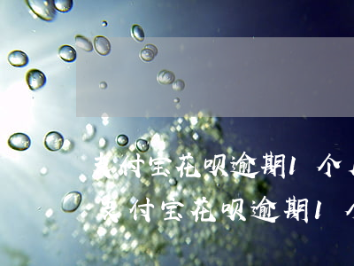 支付宝花呗逾期1个月用本地电话打过来-支付宝花呗逾期1个月用本地电话打过来怎么办