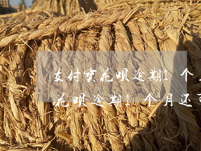 支付宝花呗逾期1个月还可使用吗-支付宝花呗逾期1个月还可使用吗怎么办